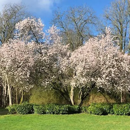 Domaine De Macque, Betz, 25 Mns Roissy Cdg * Betz